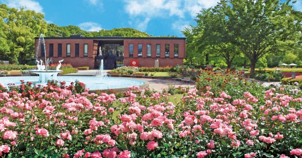 Seasonal Flower Displays