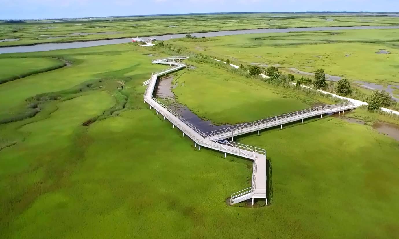 Elevated Marsh Walkway