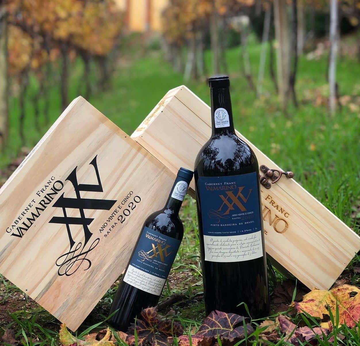 Cabernet Franc Excellence