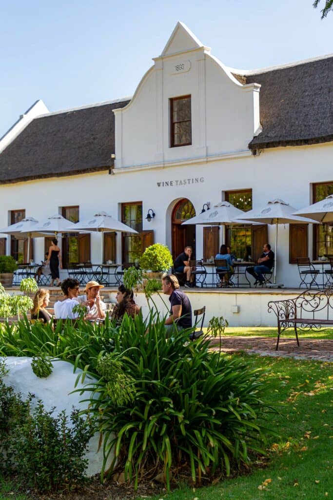 Wine Tasting Experience