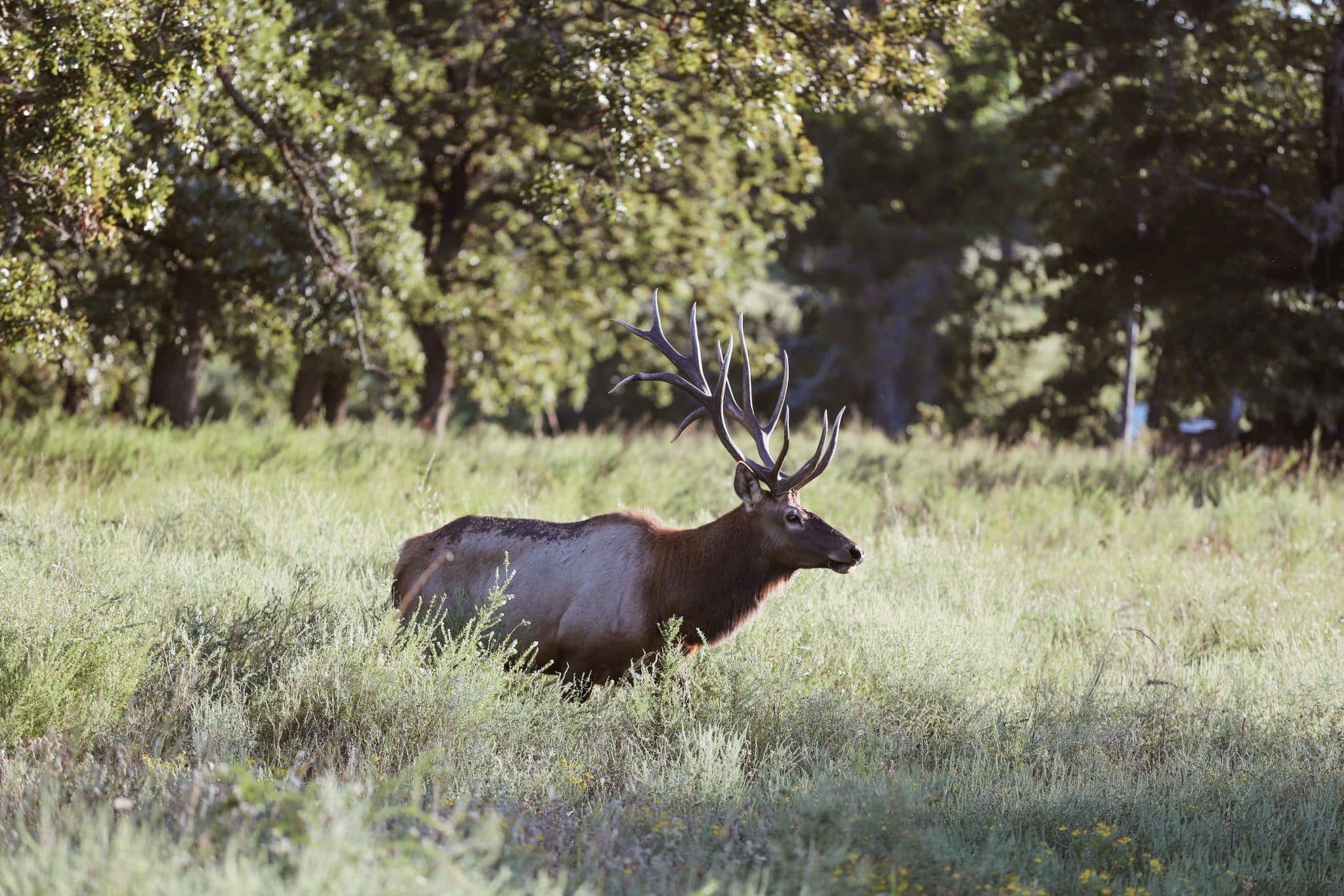Wildlife Preserve Scenic Drive