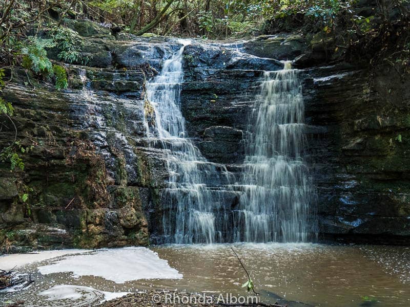 Waterfall Gully & Okoromai Wetland