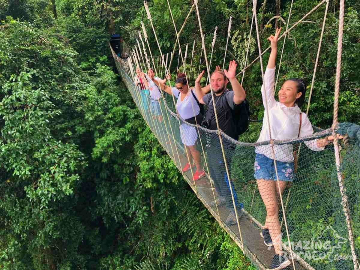 Canopy Walkway