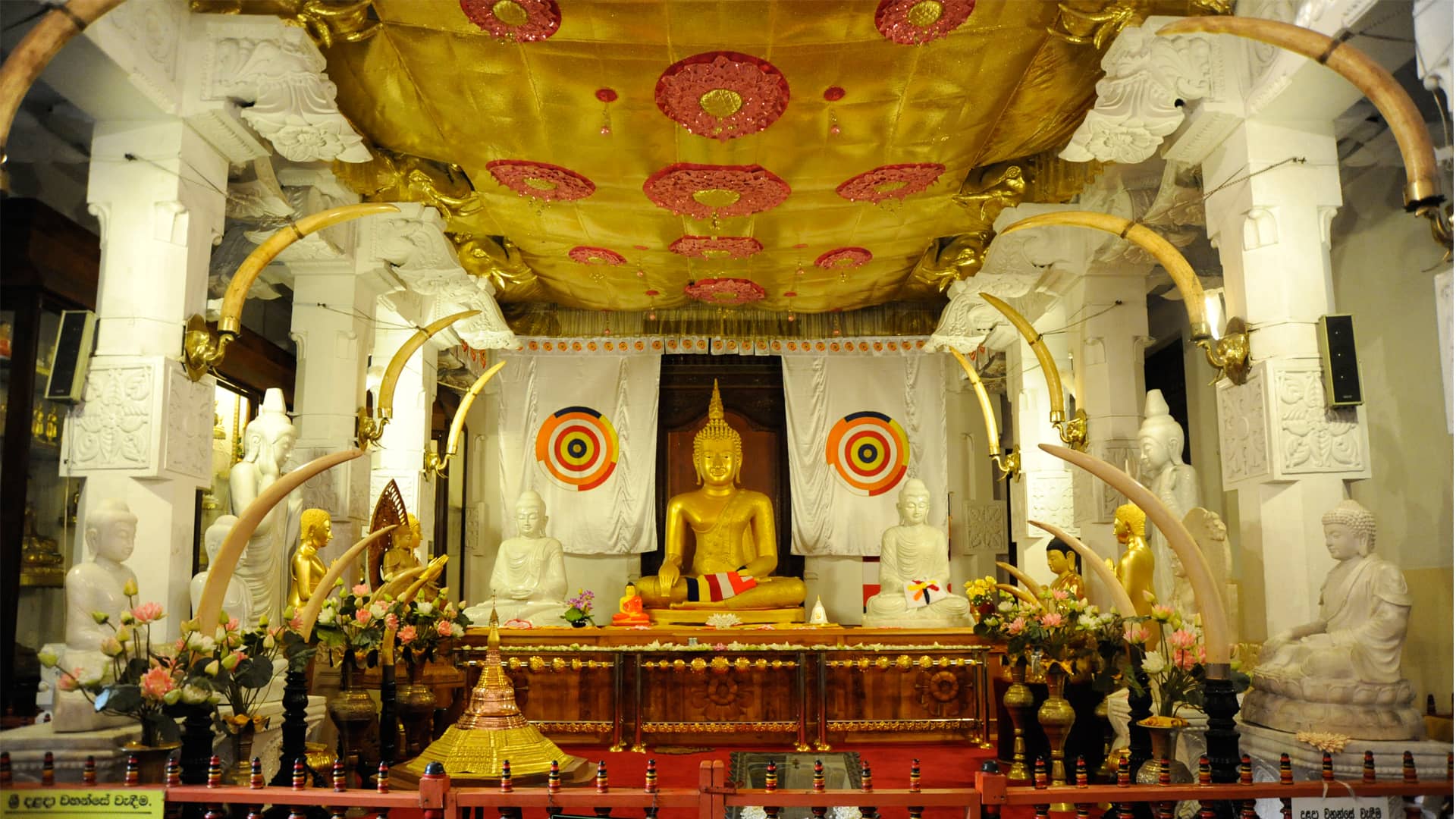 Museum and Artifacts