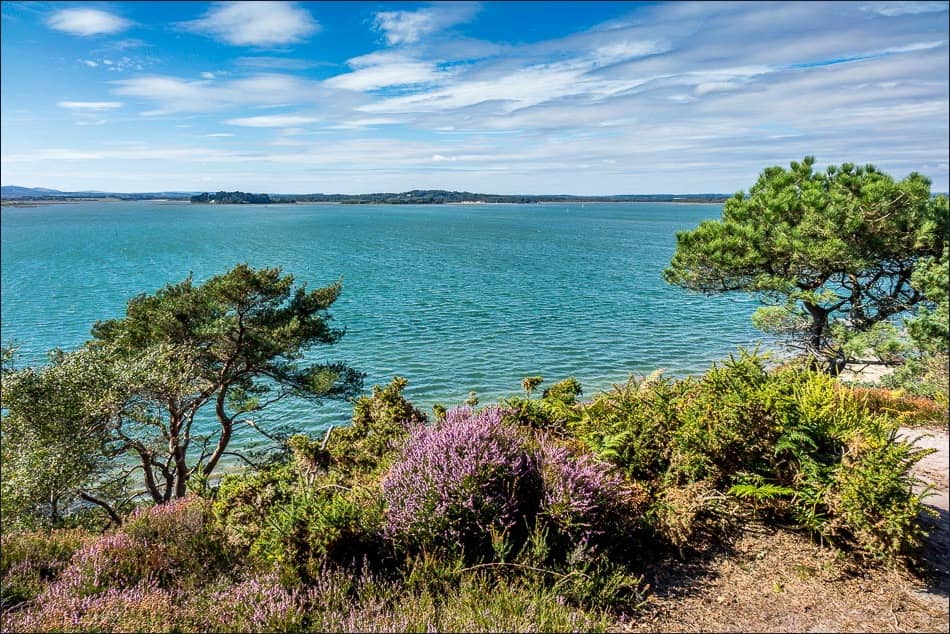 Coastal Walks
