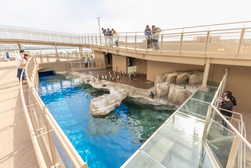 Penguin and Seal Exhibits