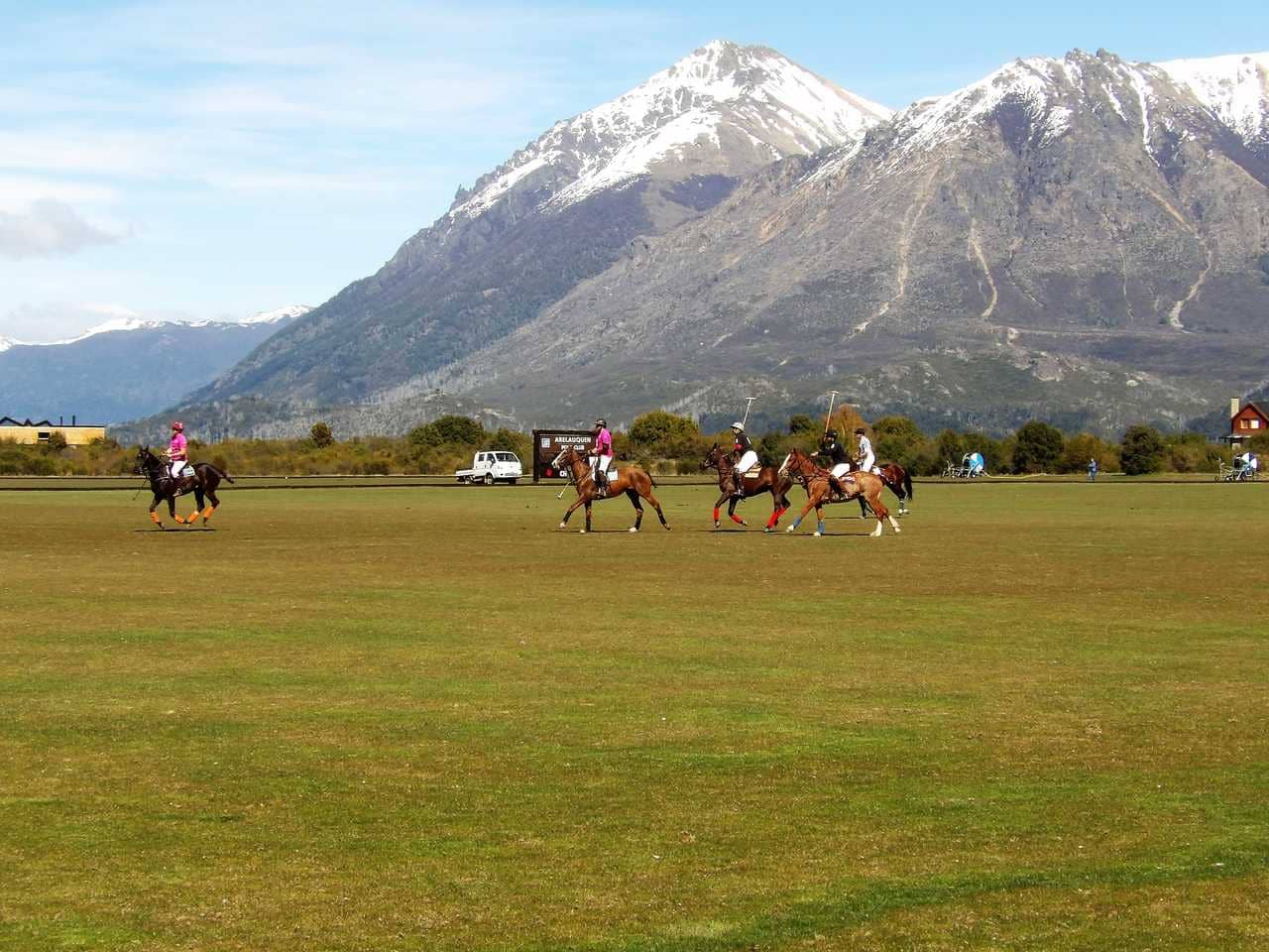 Polo Matches