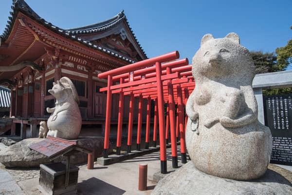 Tanuki Statues