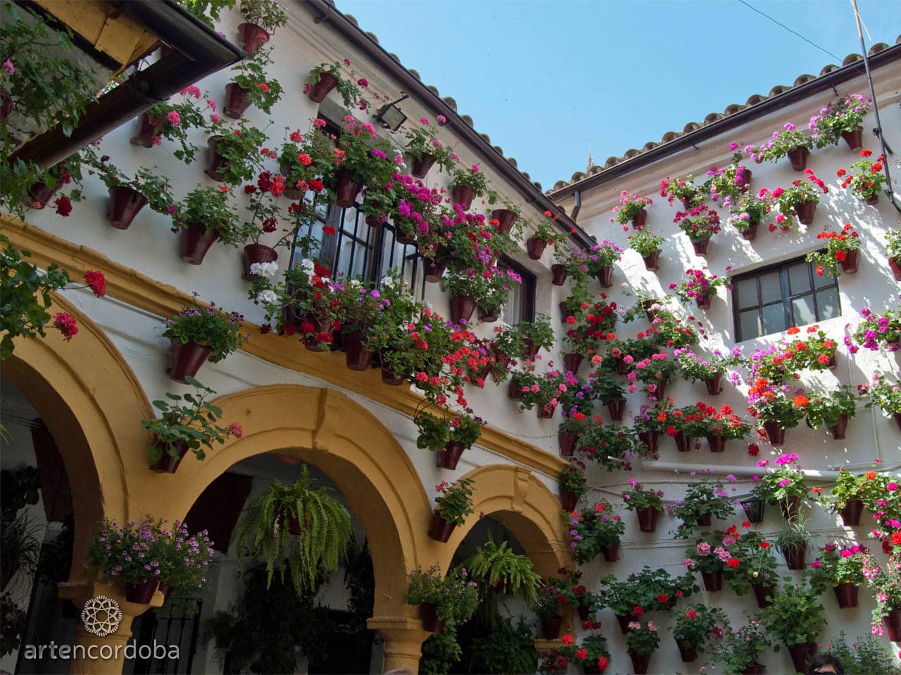 Tranquil Patios