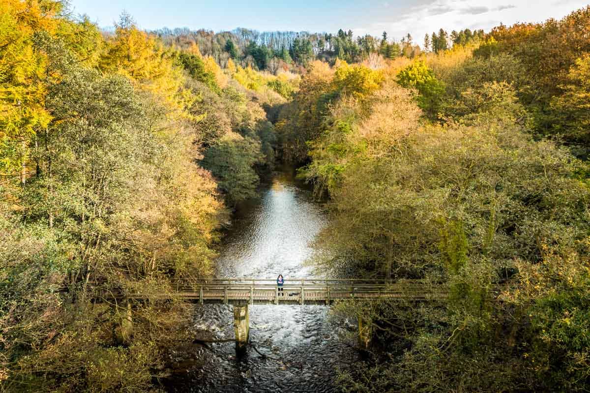 River Nidd Meander