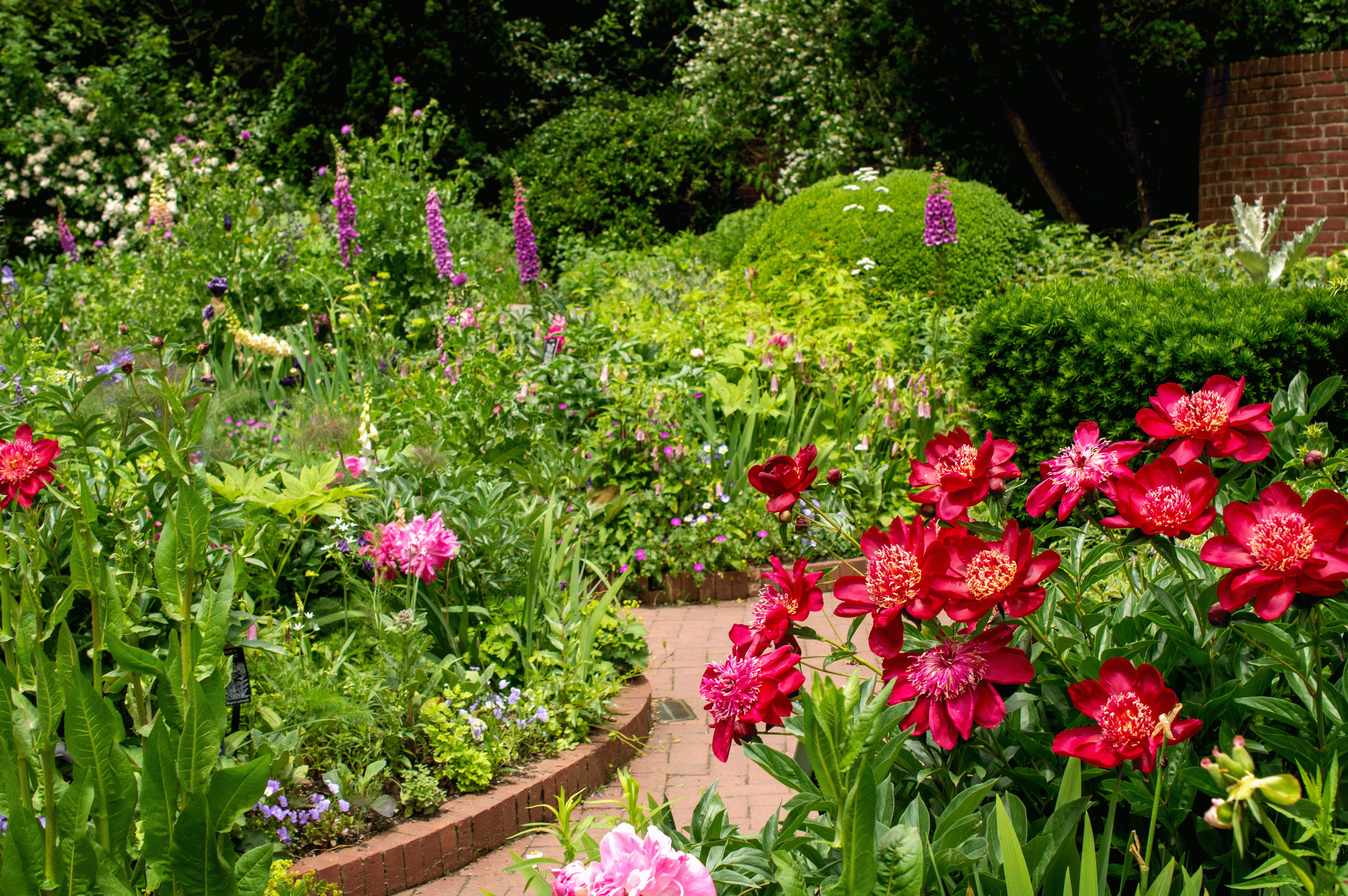 Shakespeare Garden