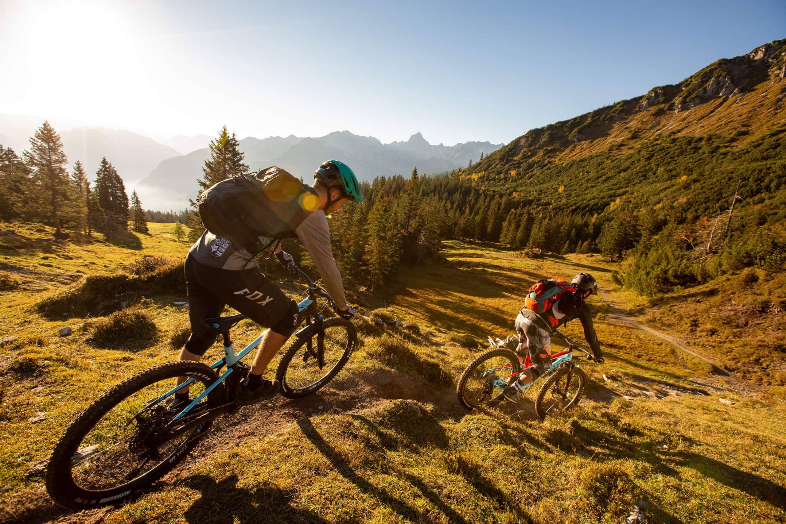 Biker's Paradise