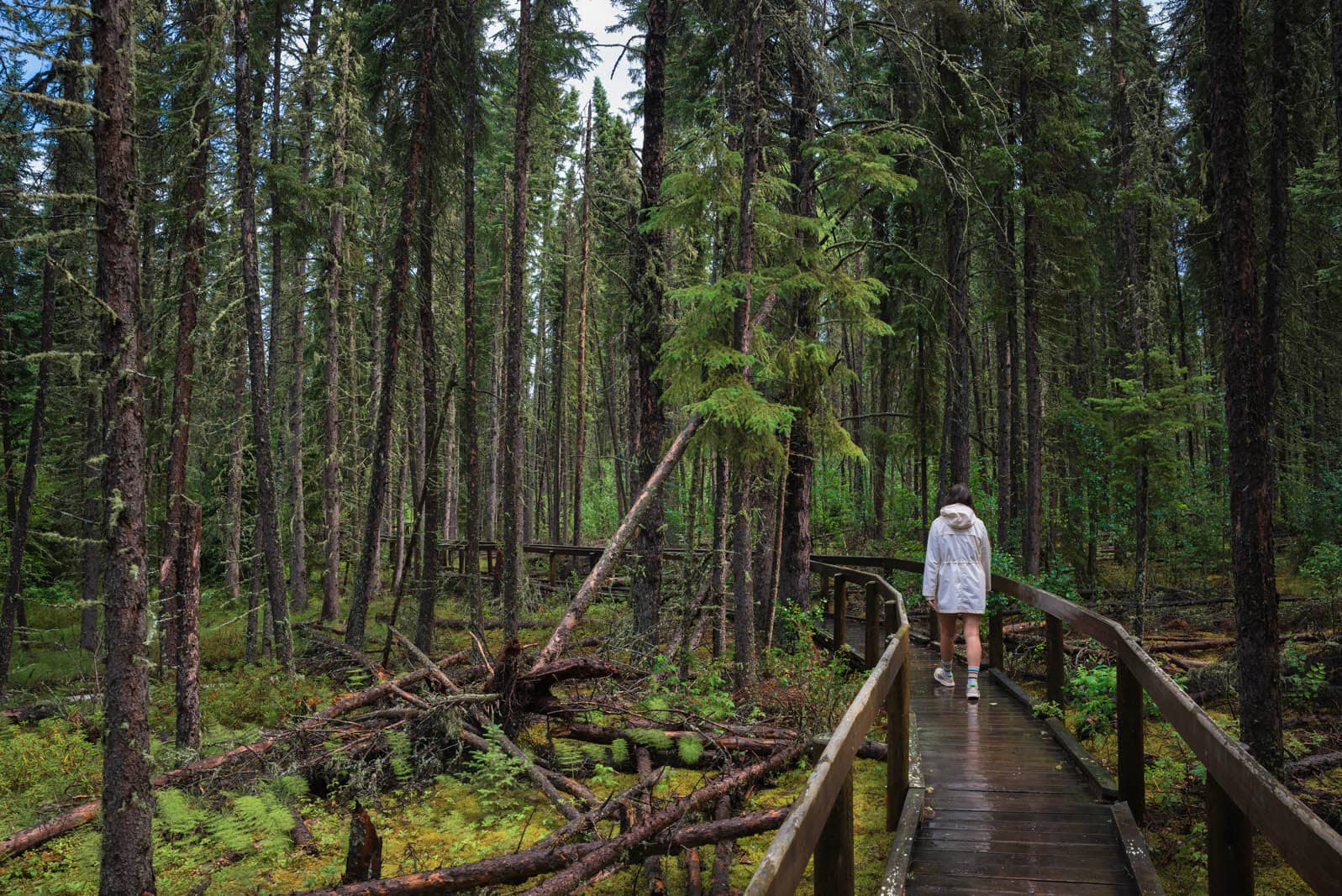 The River Valley Trails