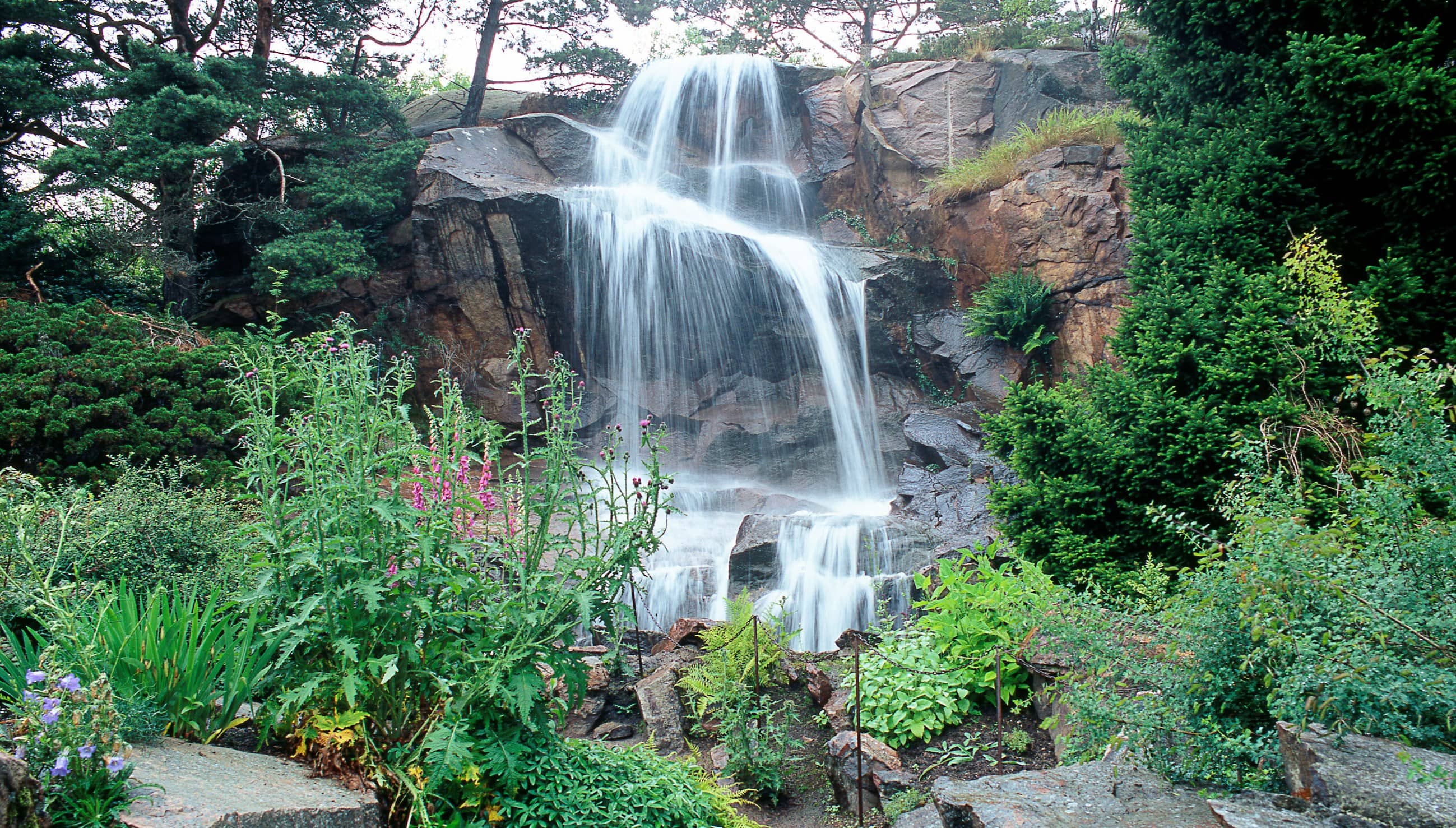 Tranquil Rock Garden