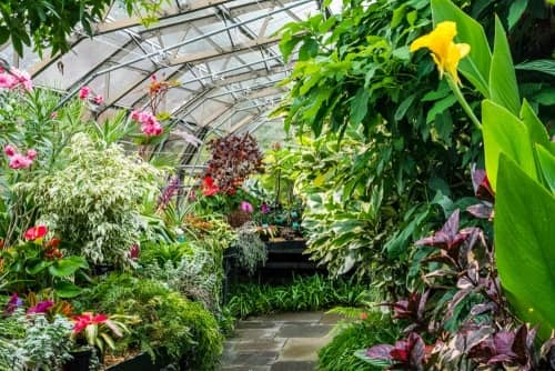 Formal Gardens