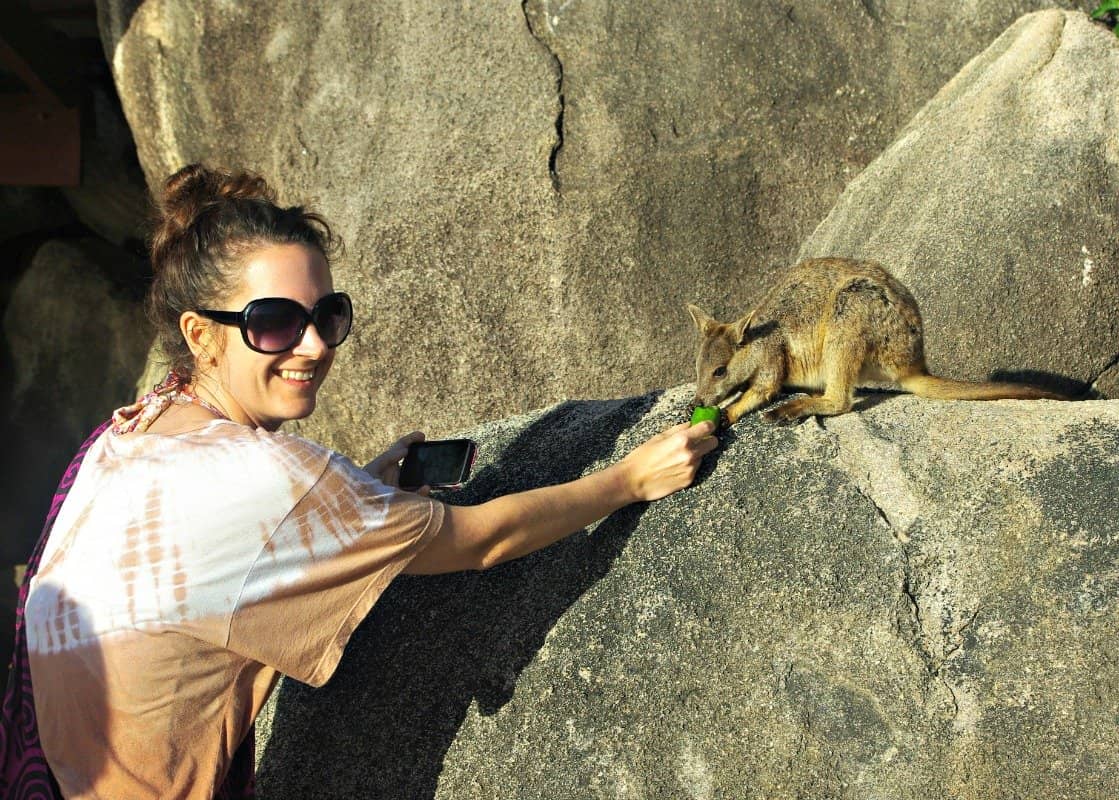 Rock Wallaby Encounters