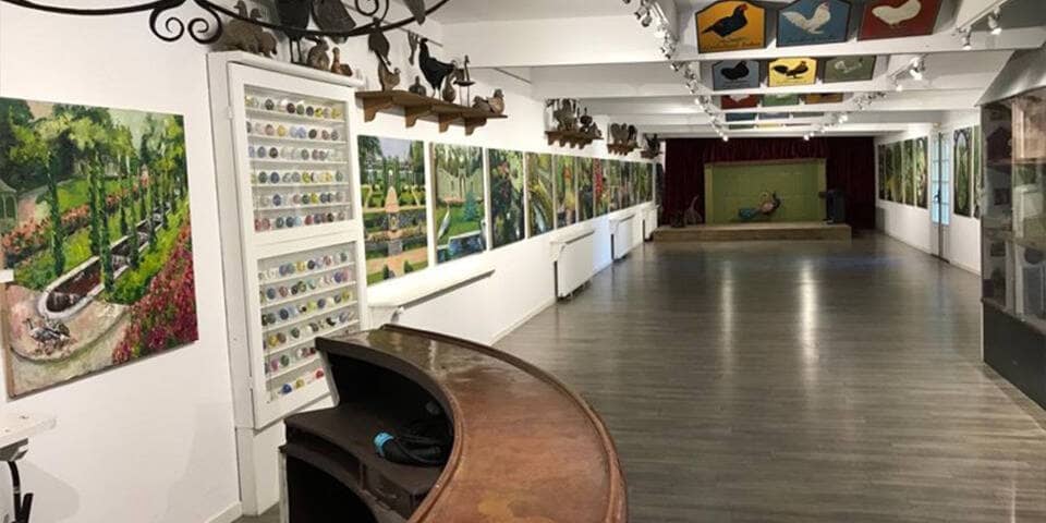Art Gallery & Exhibits