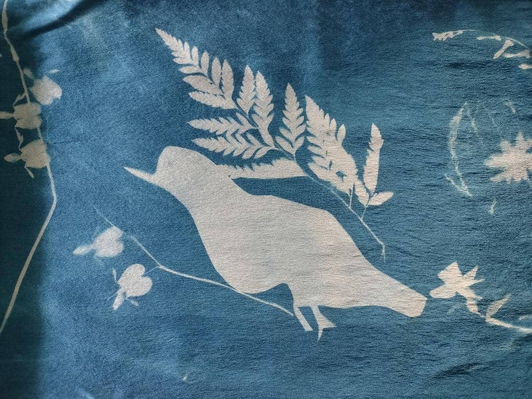 Cyanotype Exhibition