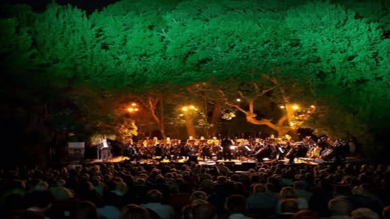 Orchestral Enchantment