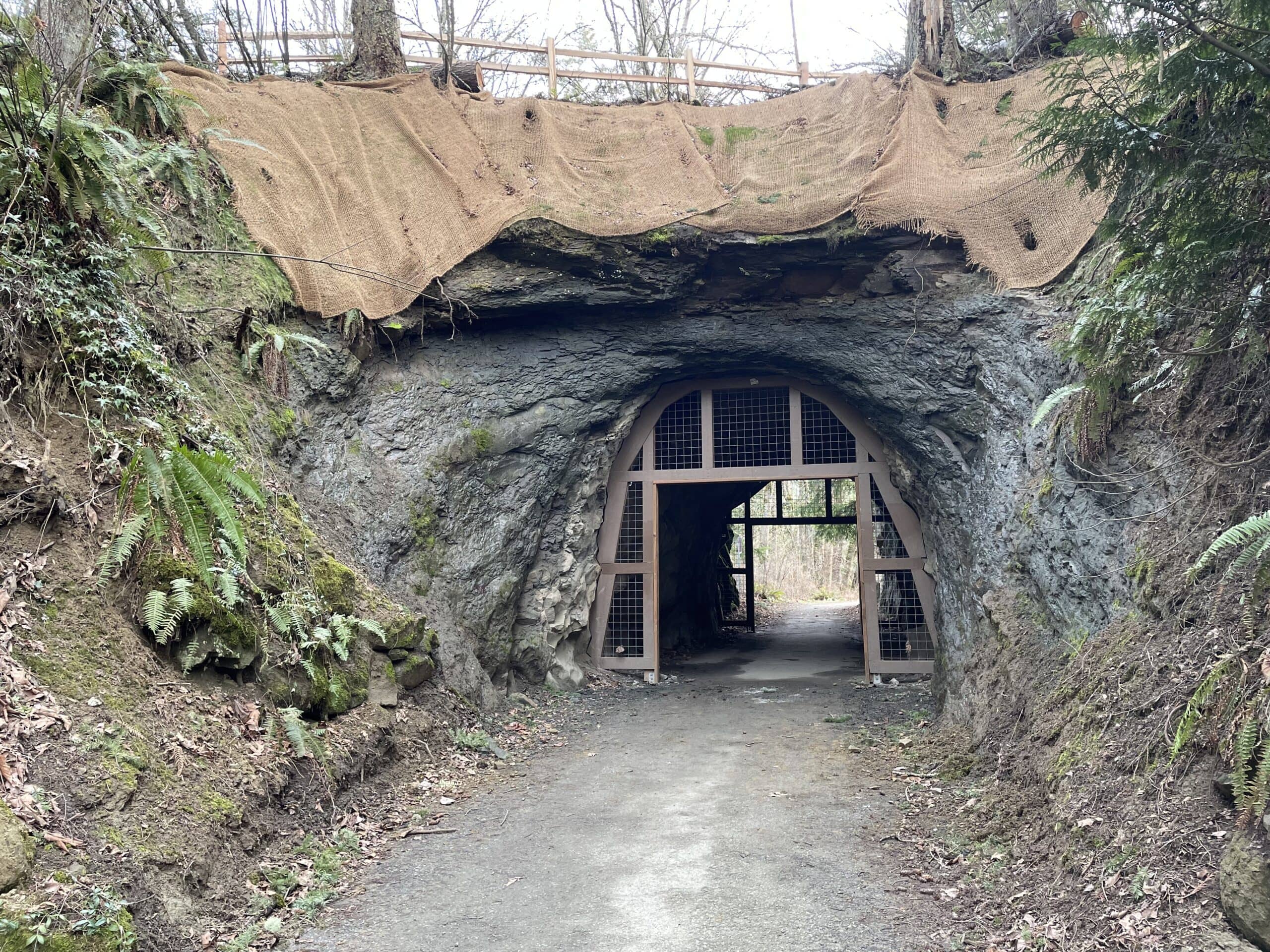 Historic Tunnel