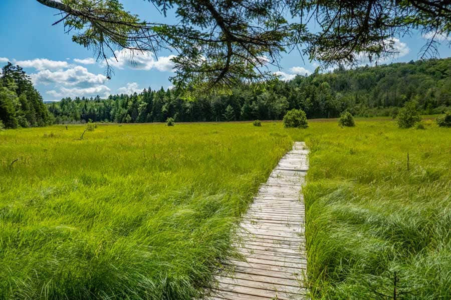 West and East Meadows