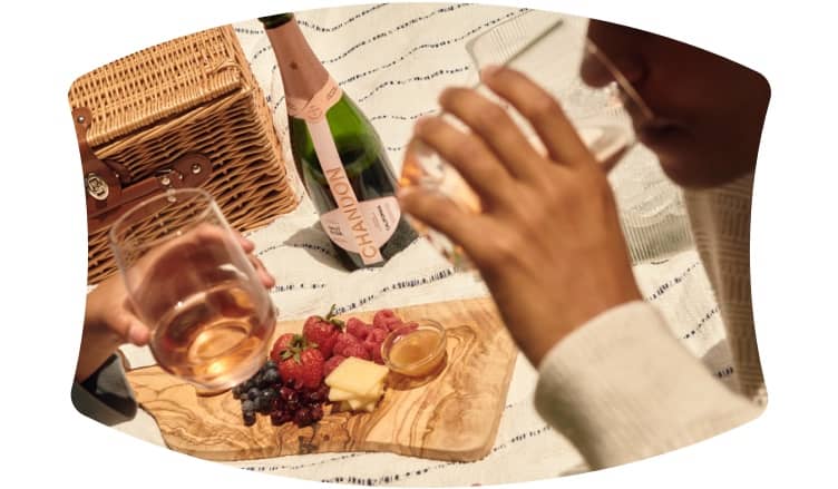 Gourmet Bites & Pairings