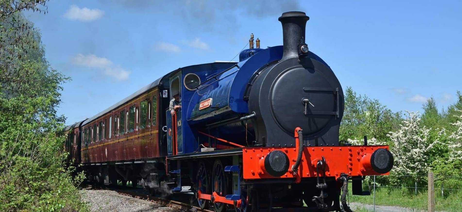 Chasewater Railway