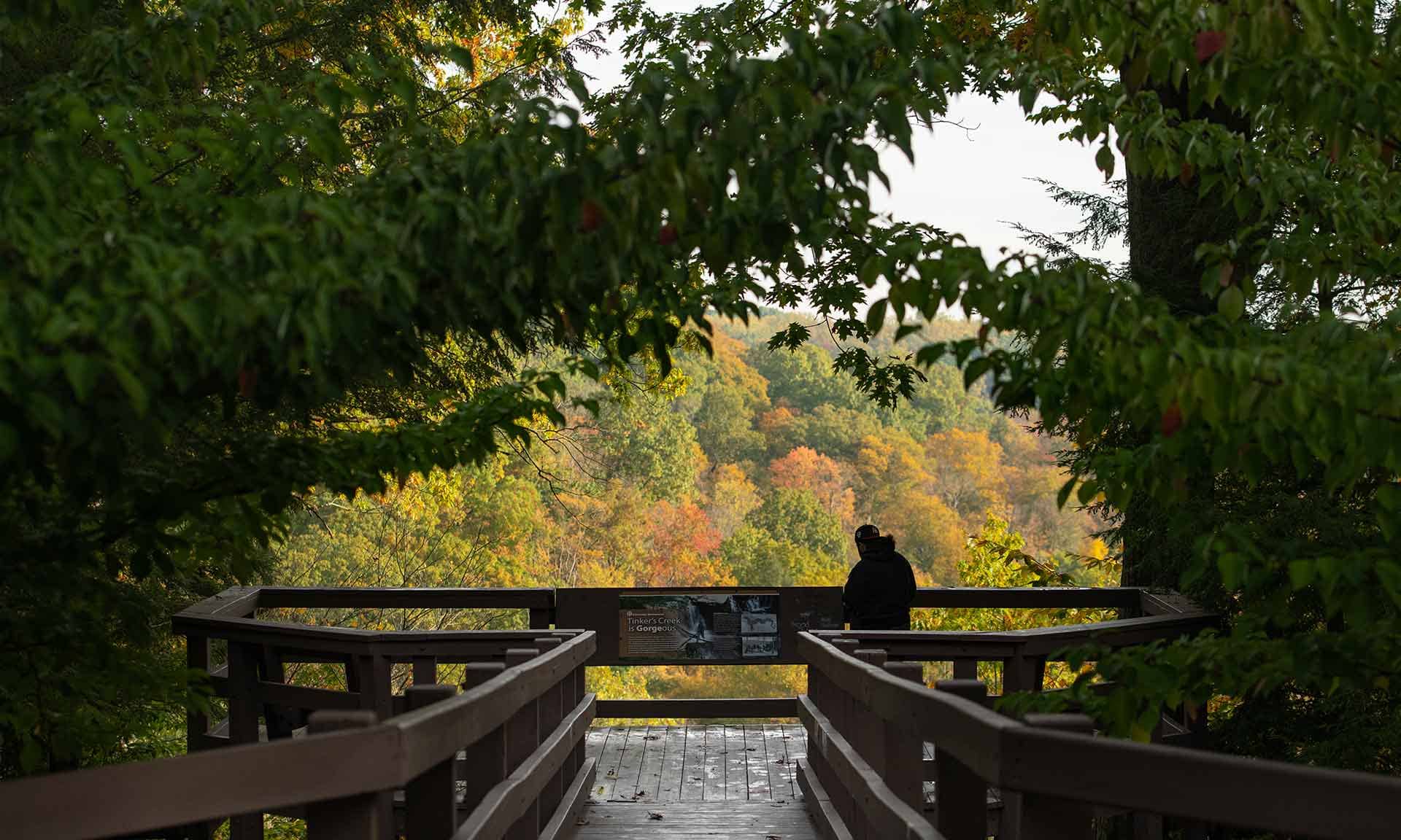 Tinker's Creek Gorge Scenic Overlook