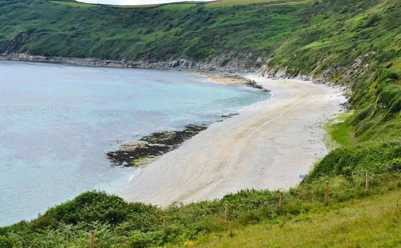 Naturist Section