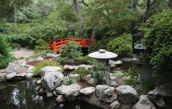 Japanese Garden