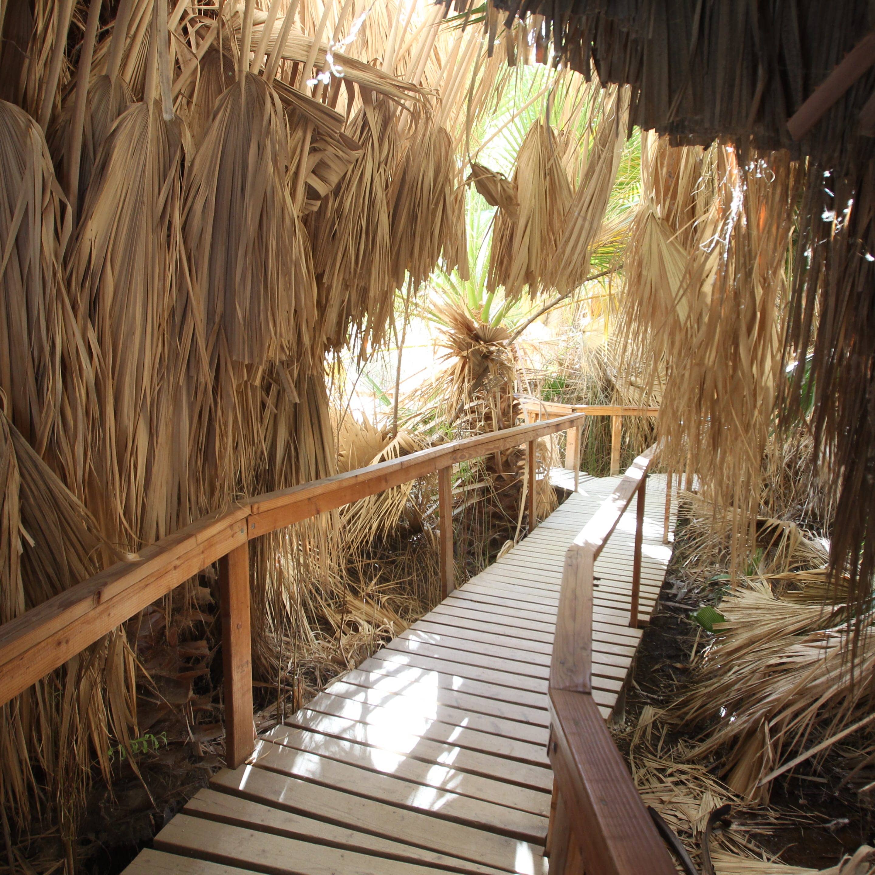 Boardwalk Trail