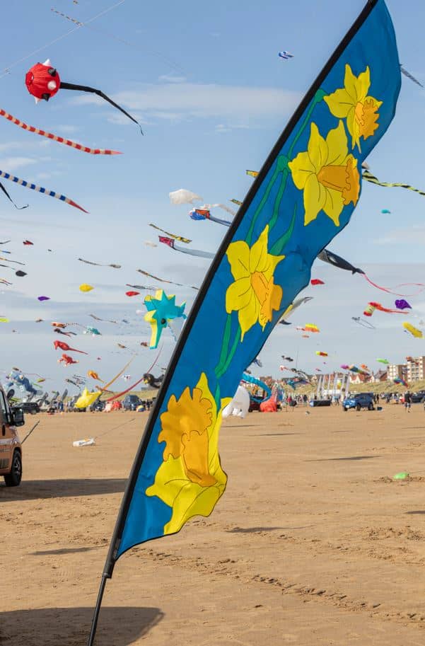 Kite Festival Spectacle