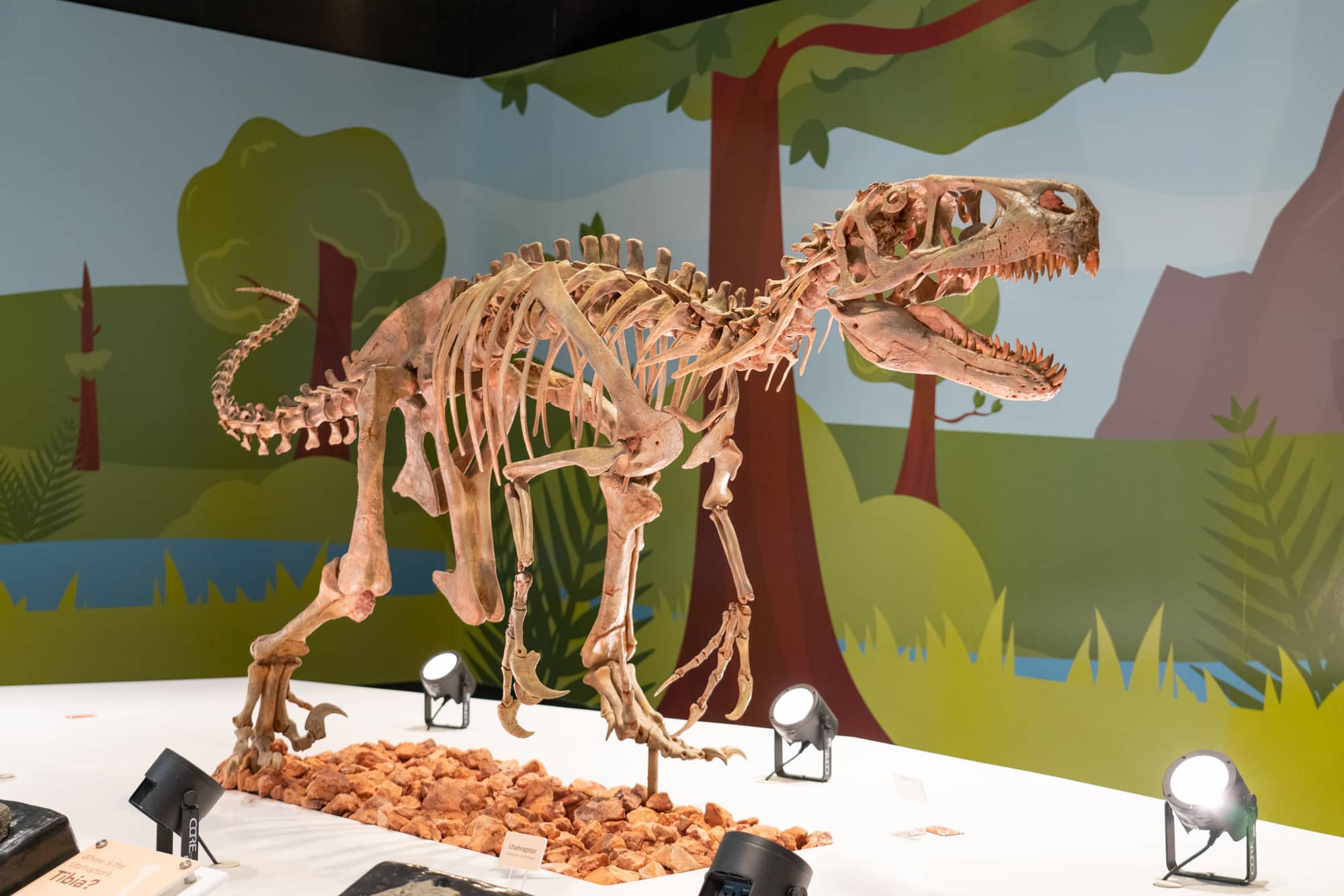 Dinosaur Exhibit