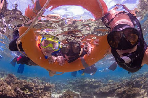 Vibrant Snorkeling