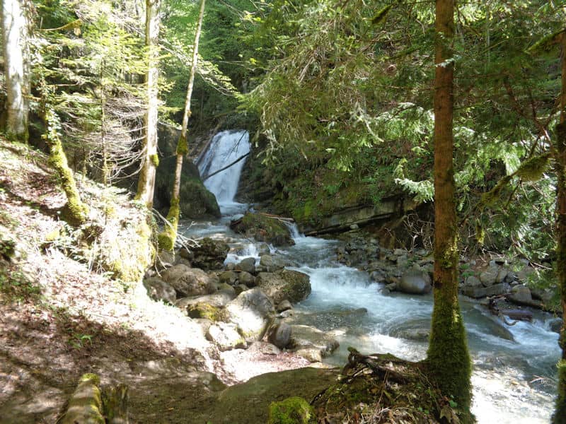 Hidden Waterfalls and Rivers