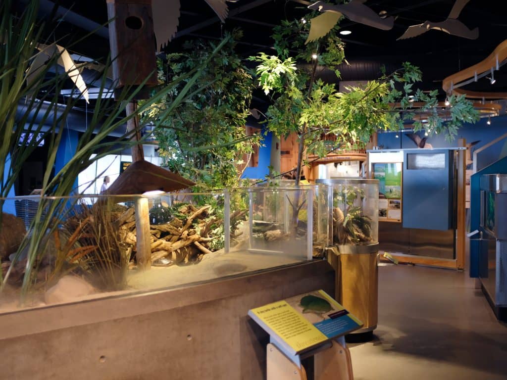 Lake Champlain Ecology Exhibits