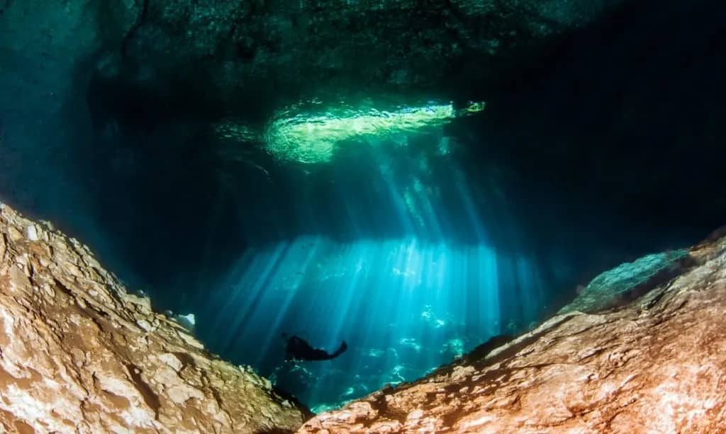 Submerged Cave Exploration