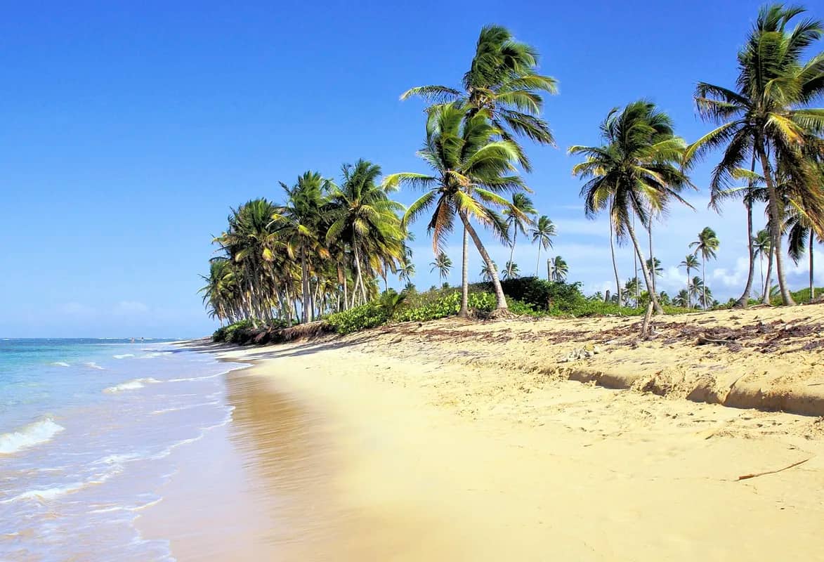 Sandy Shores