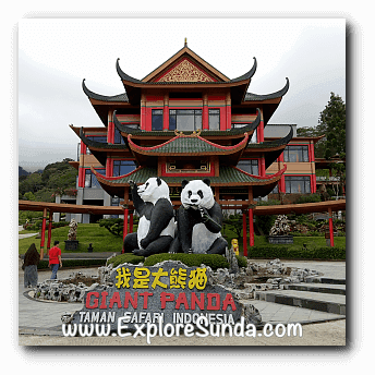 Panda Enclosure
