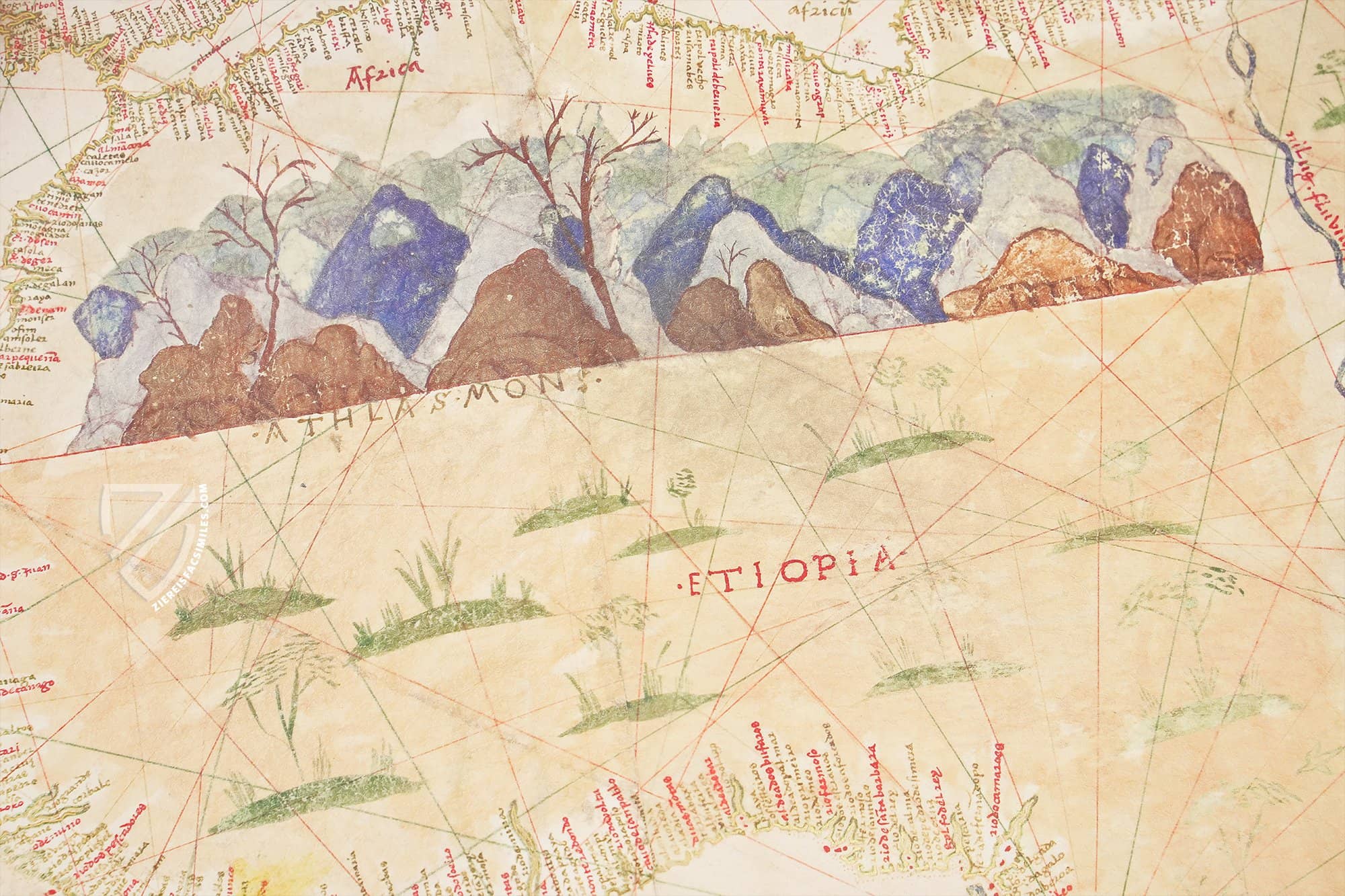 Amerigo Vespucci's Nephew's World Map