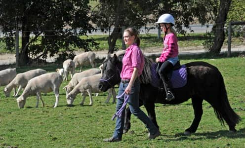 Pony & Tractor Rides