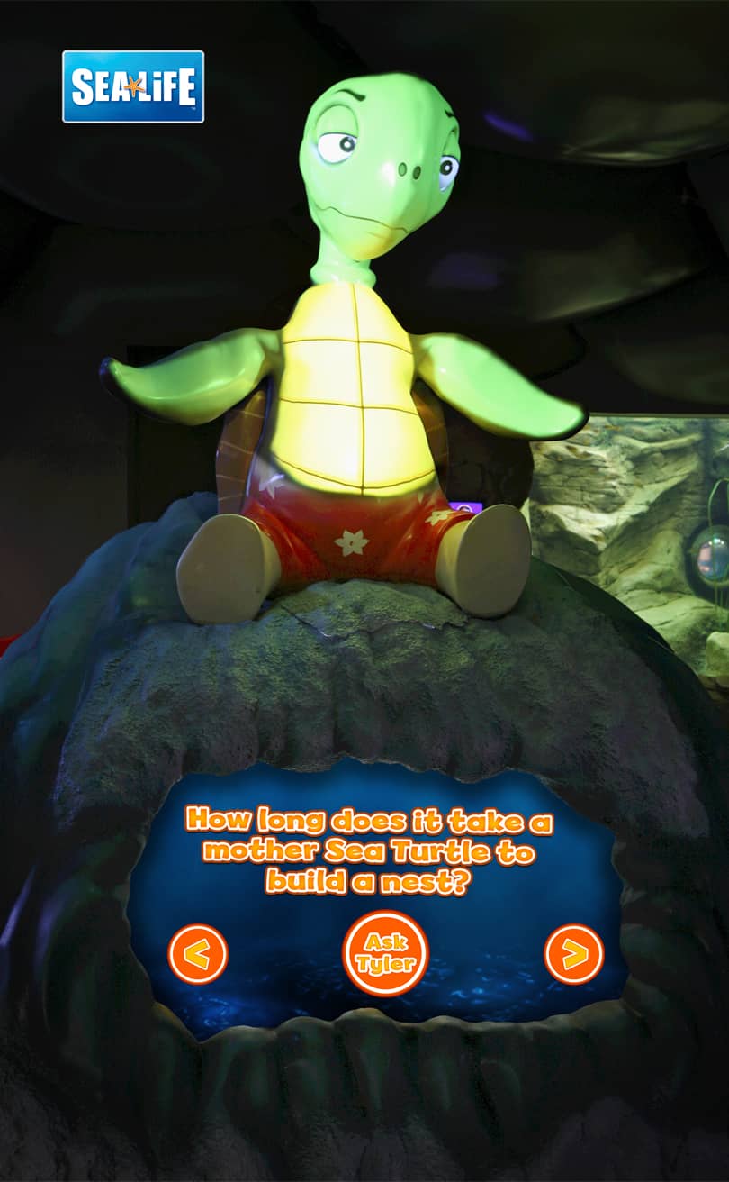Turtle Beach 3D Show