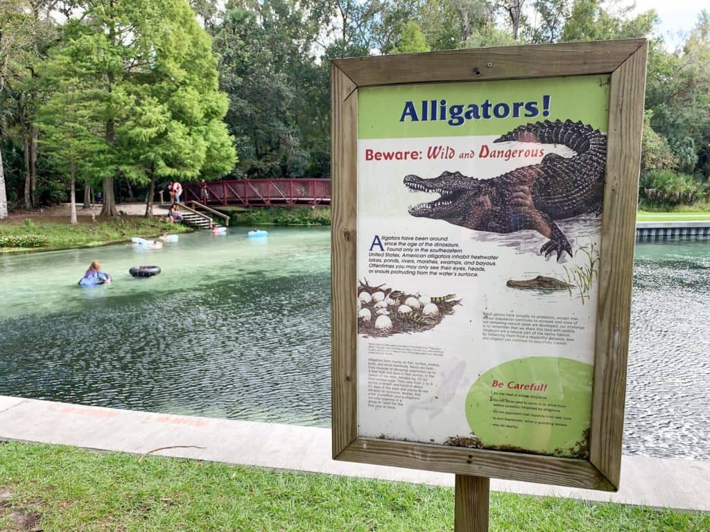 Gator Park Encounters