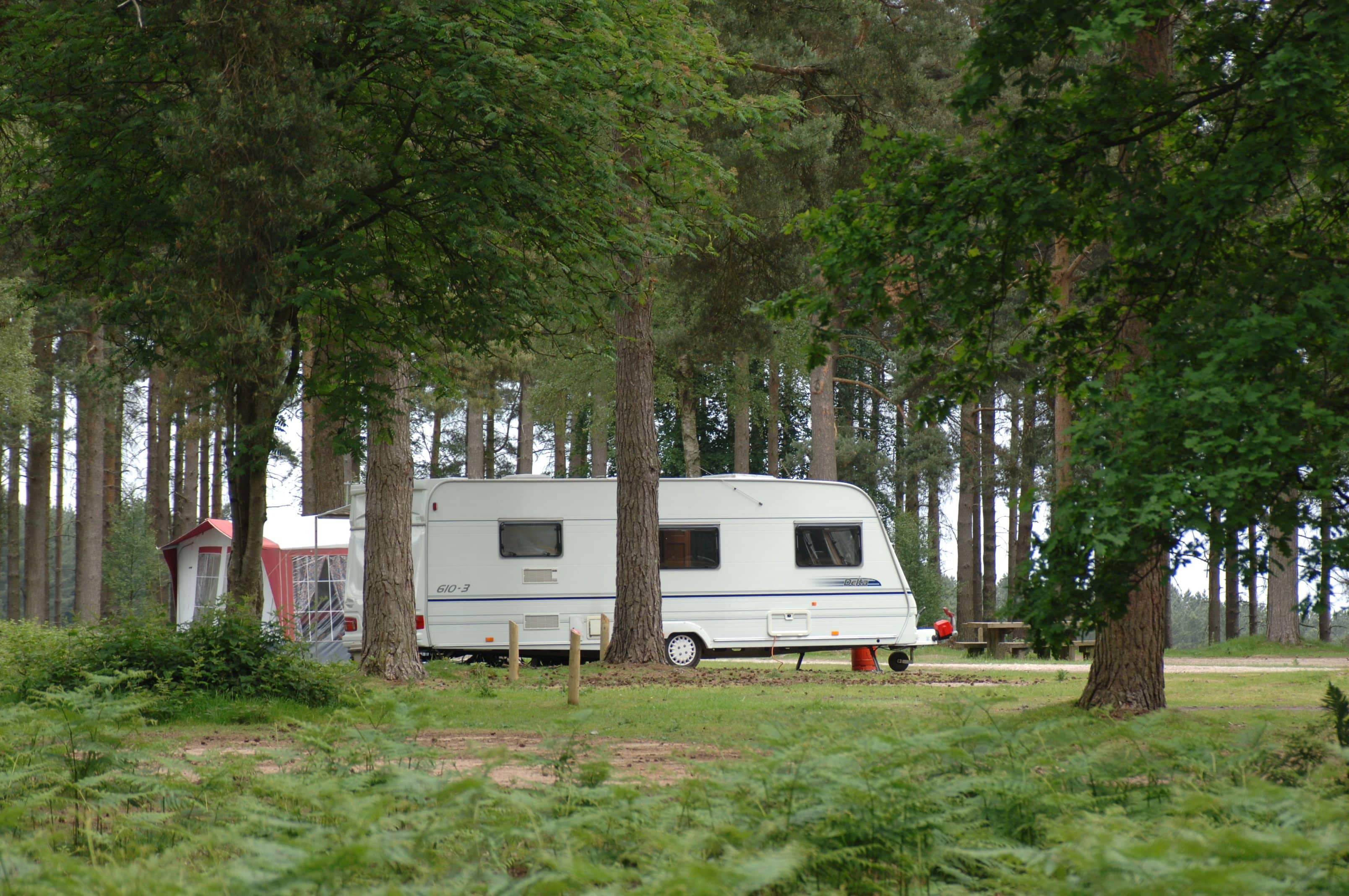 Tackeroo Campsite