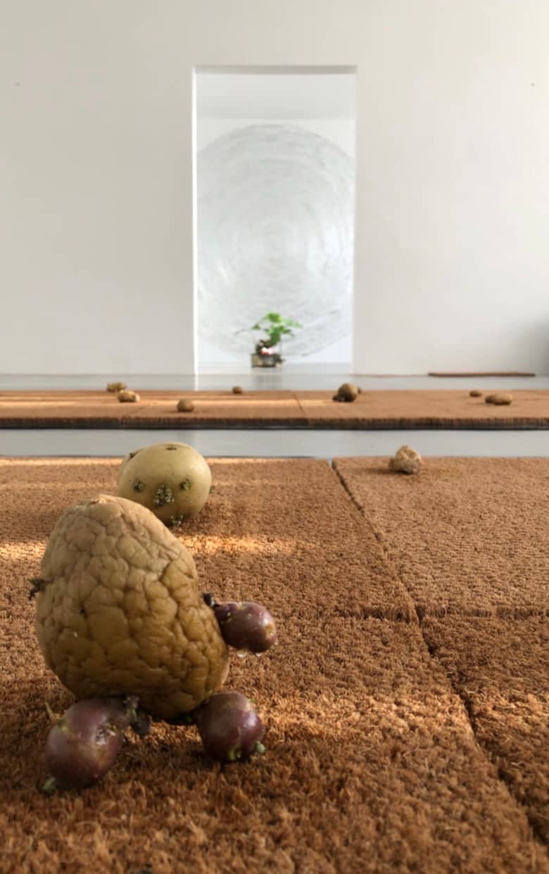 Artist-Specific Installations