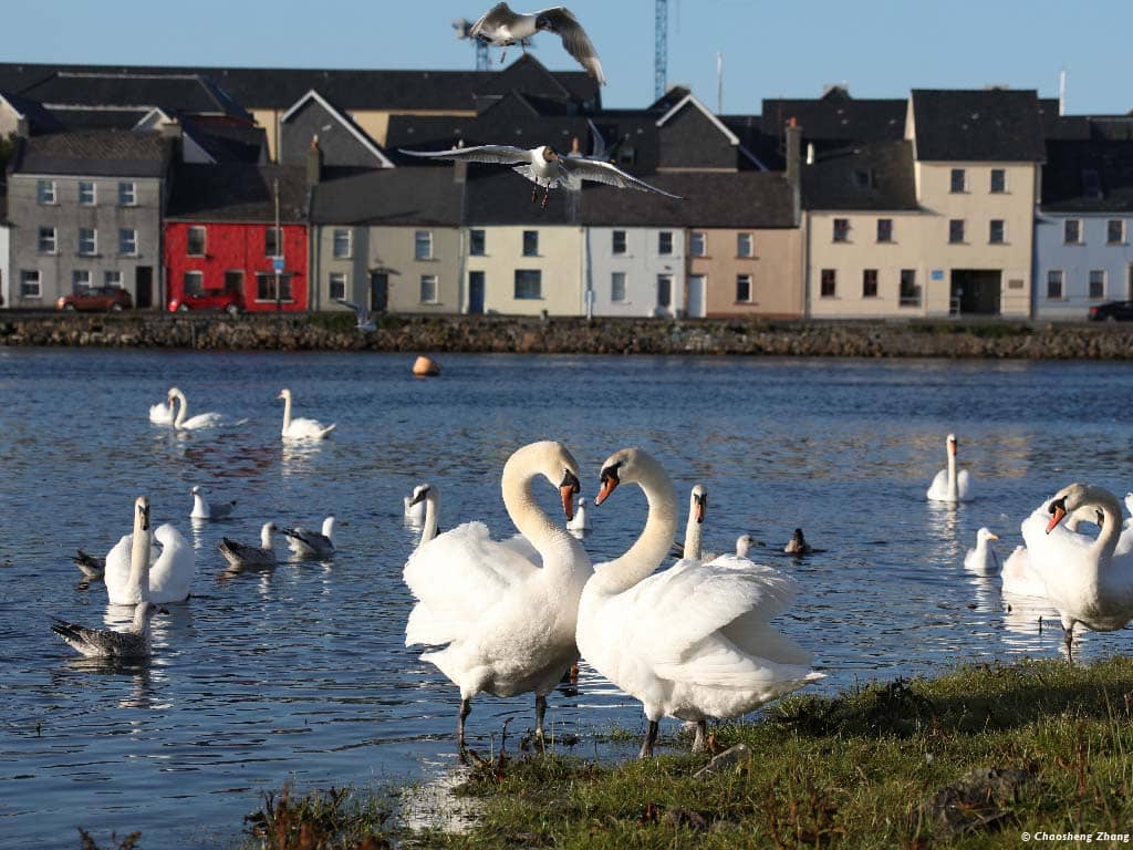 The Claddagh (Area)