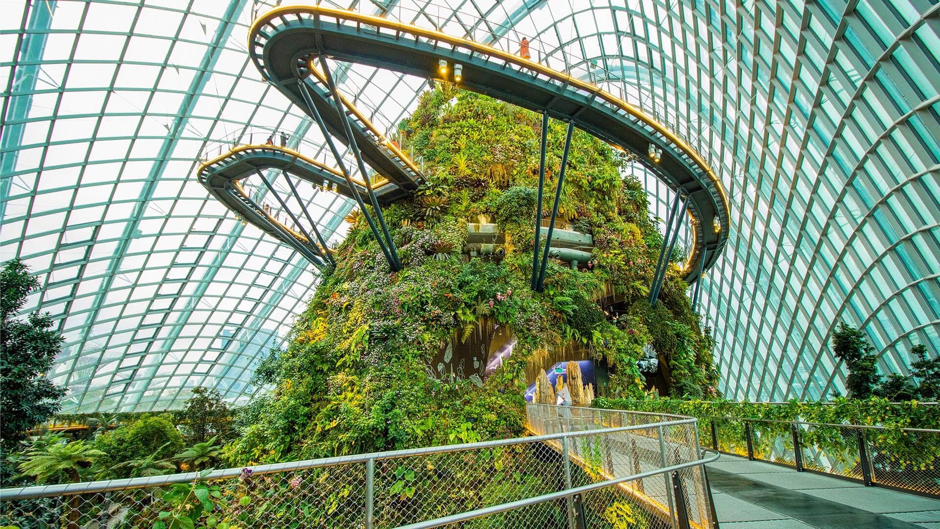 Cloud Forest Conservatory