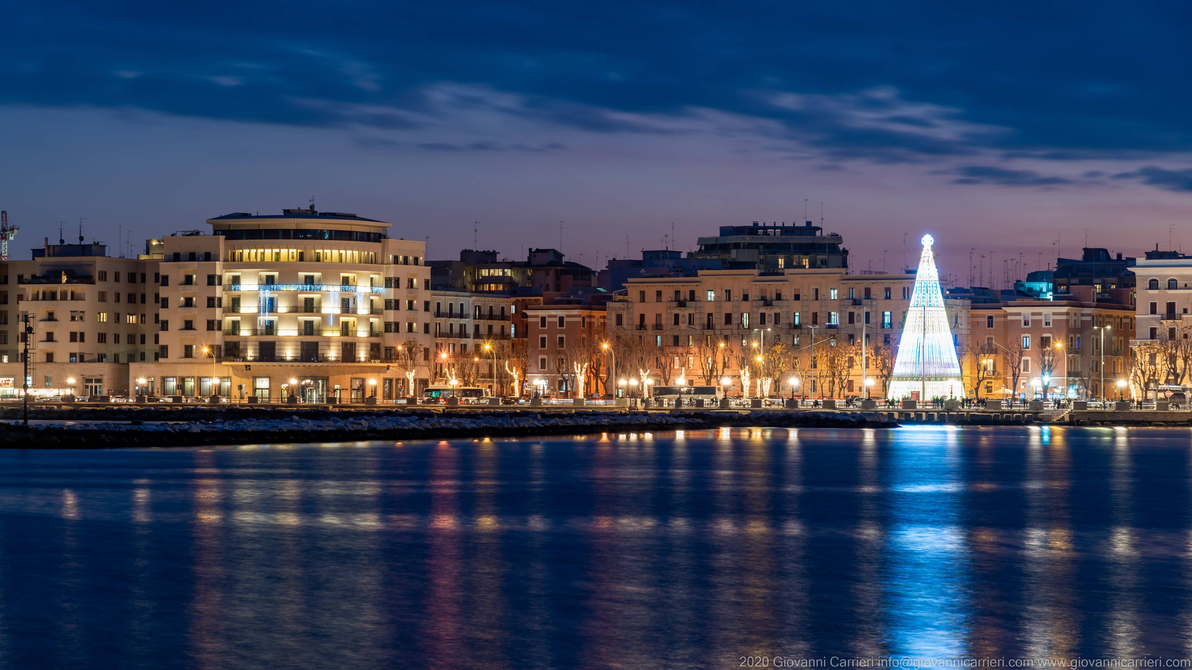 Christmas Tree Spectacle