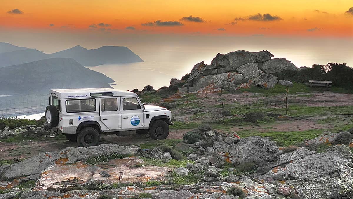 Off-Road Nature Tours