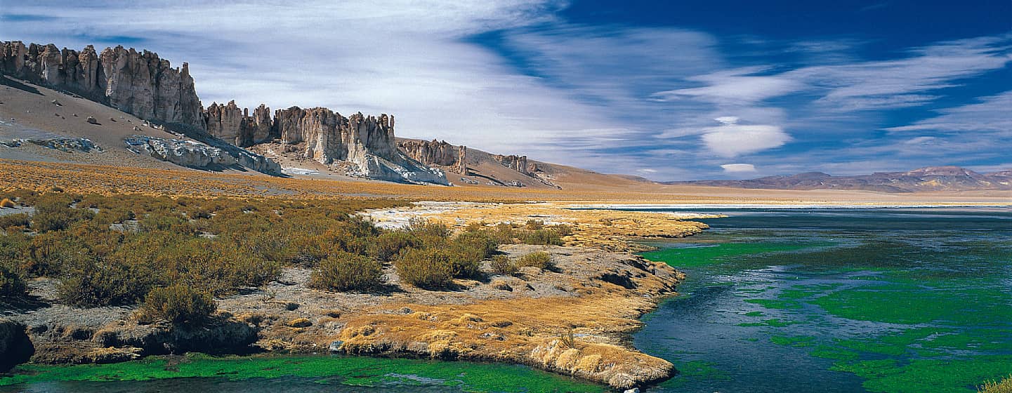 Vast Salt Flats
